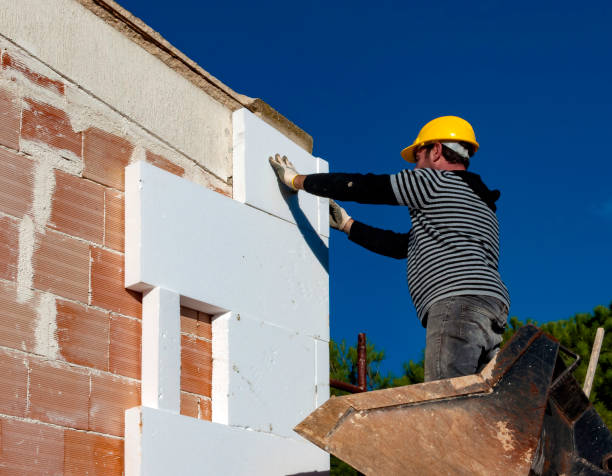 Best Cellulose Insulation in Wright City, MO