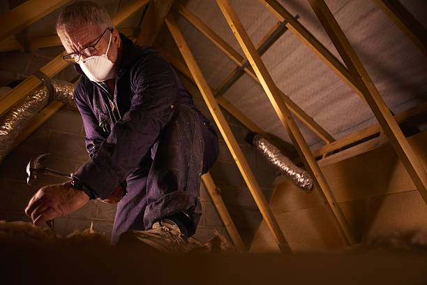 Best Cellulose Insulation in Wright City, MO